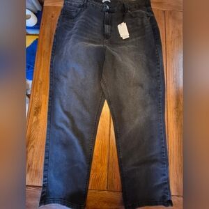 NWT Dex Plus Jeans Zoe High Rise